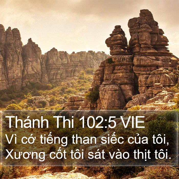Thánh Thi 102:5 VIE Bible Study