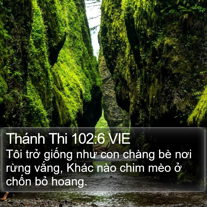 Thánh Thi 102:6 VIE Bible Study