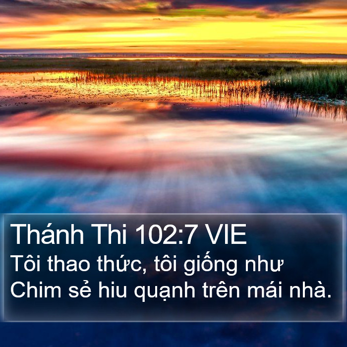 Thánh Thi 102:7 VIE Bible Study