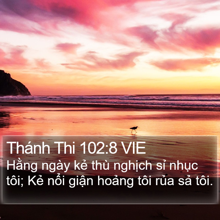 Thánh Thi 102:8 VIE Bible Study