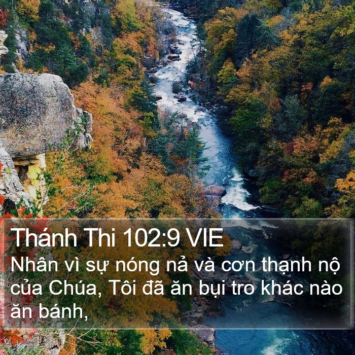 Thánh Thi 102:9 VIE Bible Study