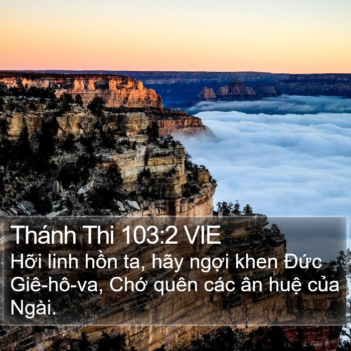 Thánh Thi 103:2 VIE Bible Study