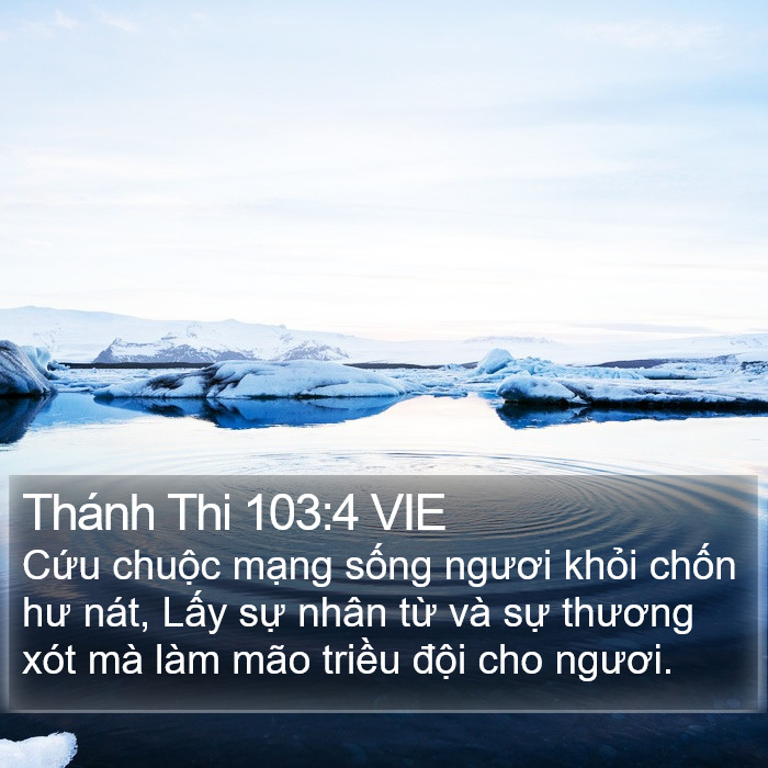 Thánh Thi 103:4 VIE Bible Study