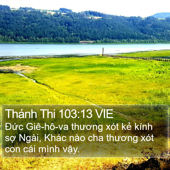 Thánh Thi 103:13 VIE Bible Study