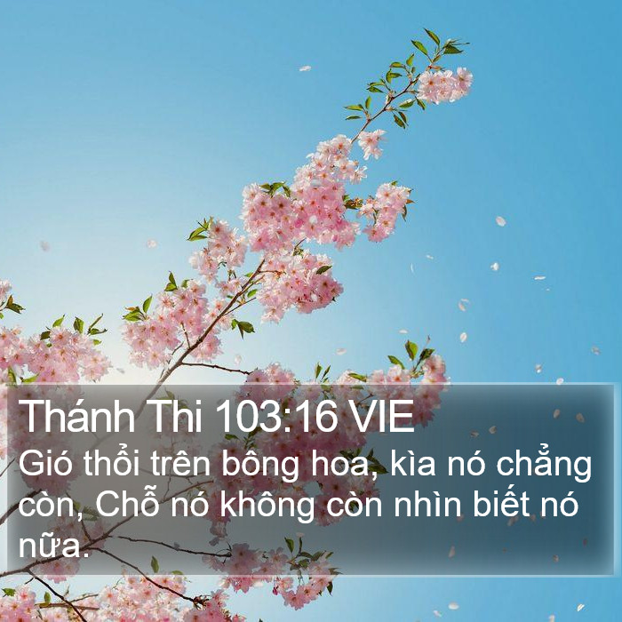 Thánh Thi 103:16 VIE Bible Study