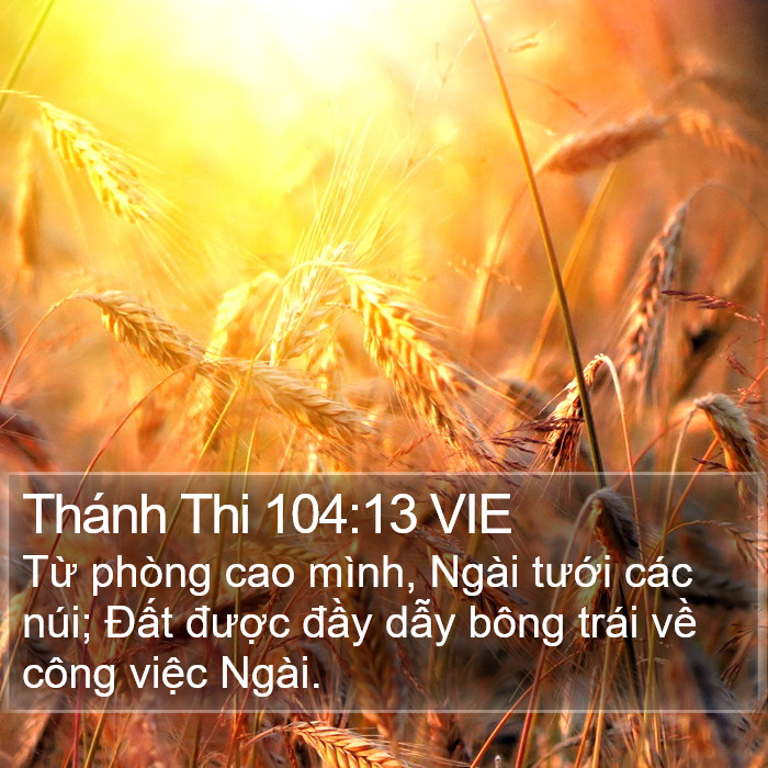 Thánh Thi 104:13 VIE Bible Study