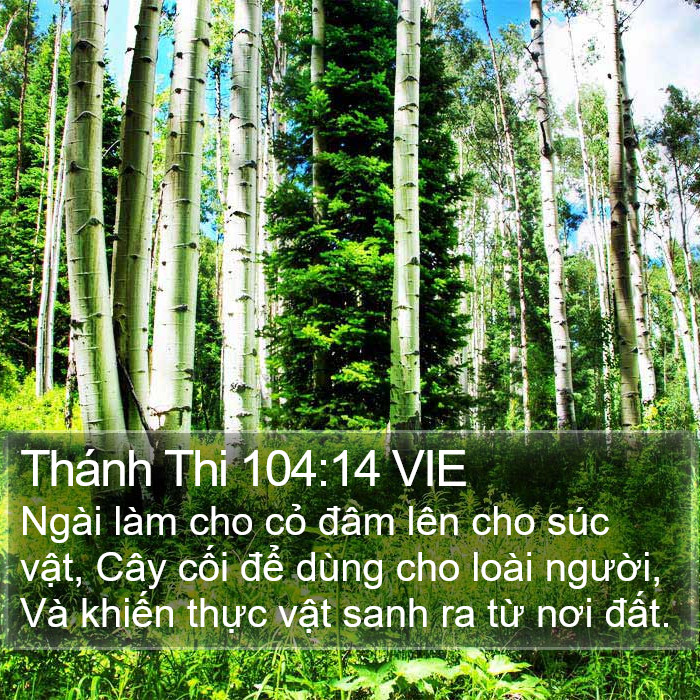 Thánh Thi 104:14 VIE Bible Study