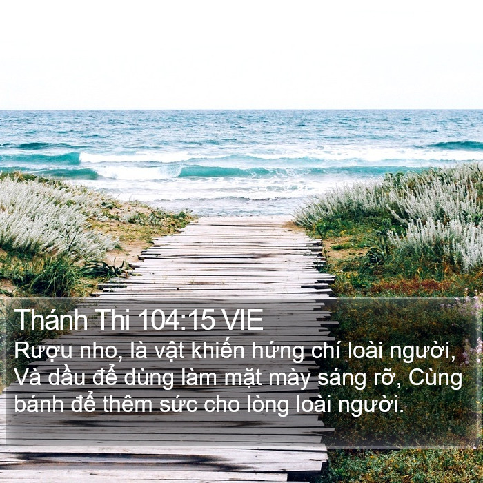 Thánh Thi 104:15 VIE Bible Study