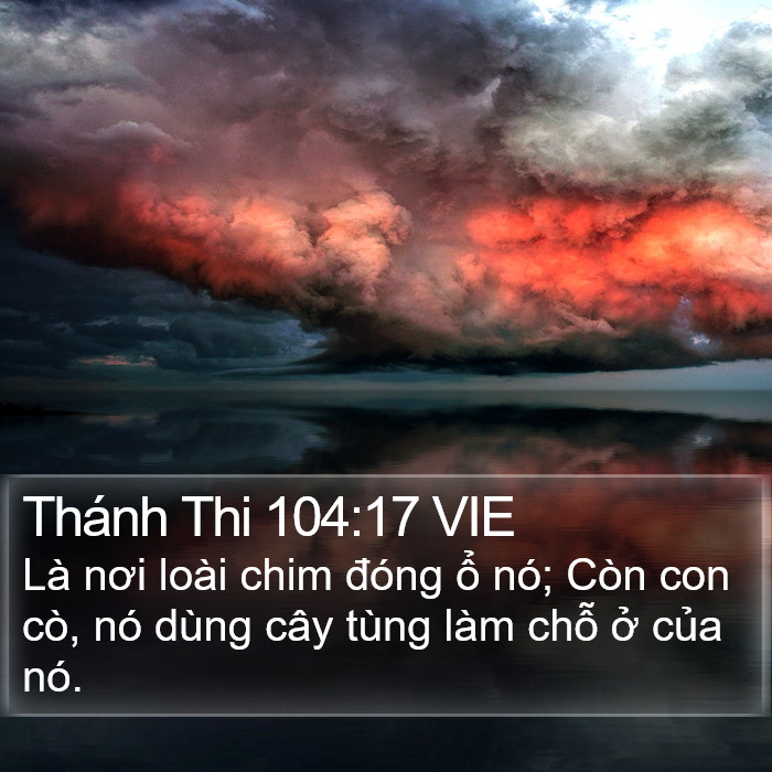 Thánh Thi 104:17 VIE Bible Study