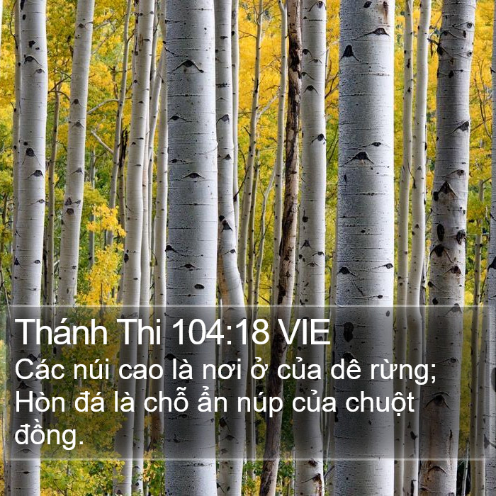 Thánh Thi 104:18 VIE Bible Study