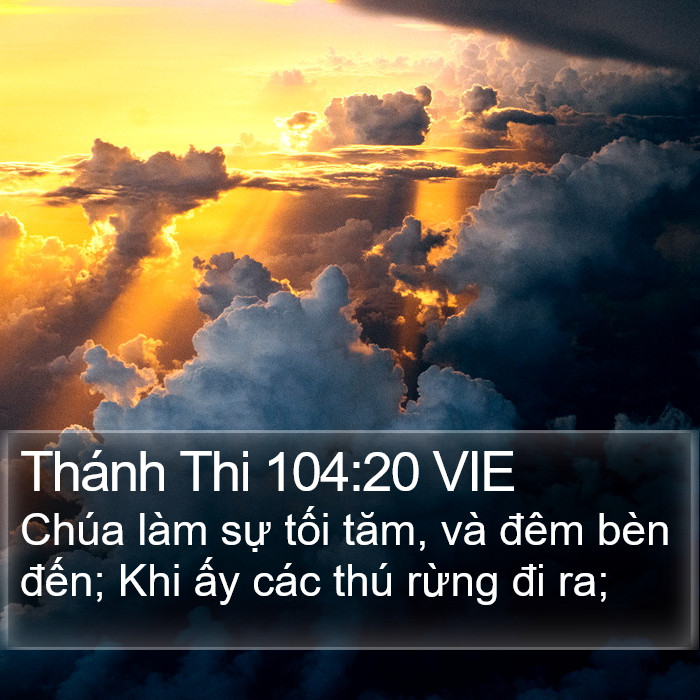Thánh Thi 104:20 VIE Bible Study