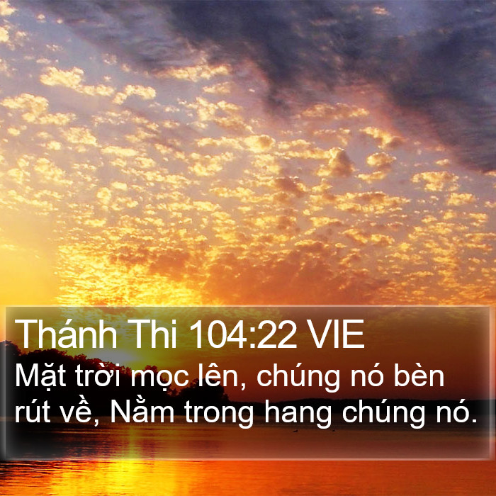 Thánh Thi 104:22 VIE Bible Study