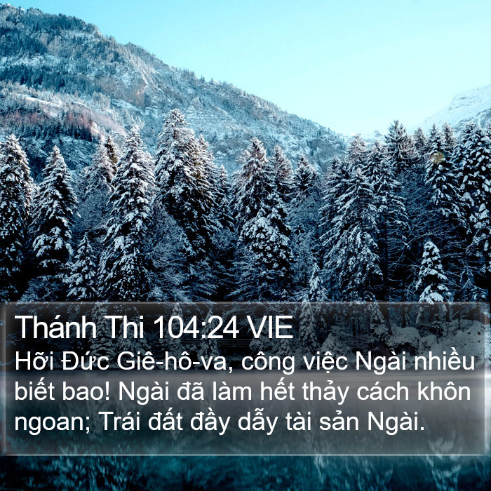 Thánh Thi 104:24 VIE Bible Study