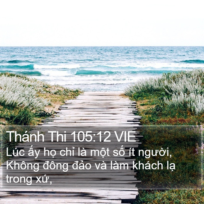 Thánh Thi 105:12 VIE Bible Study
