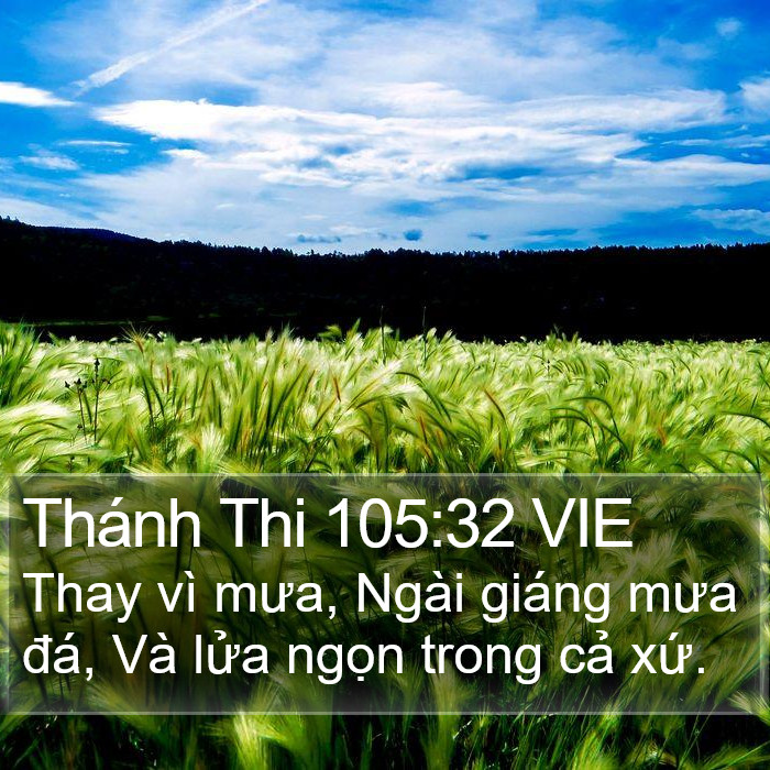 Thánh Thi 105:32 VIE Bible Study