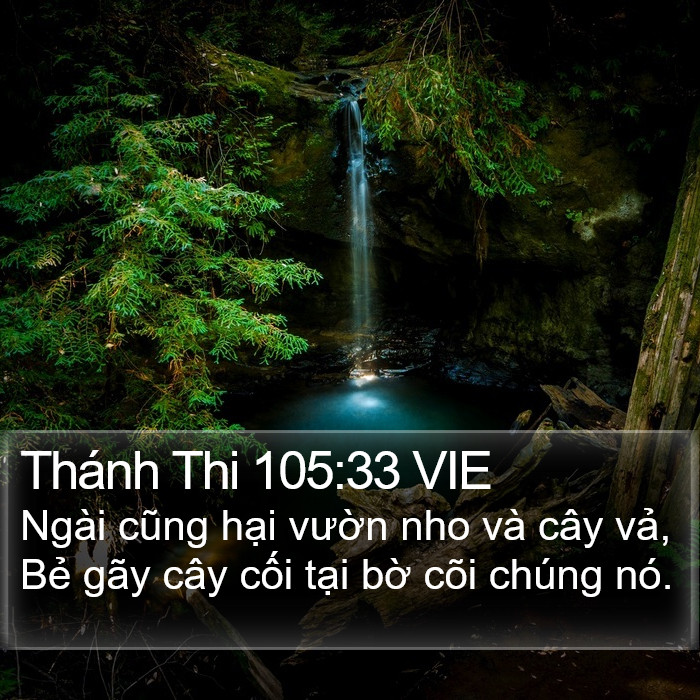 Thánh Thi 105:33 VIE Bible Study