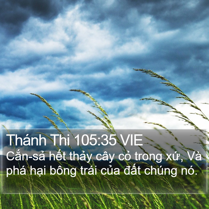Thánh Thi 105:35 VIE Bible Study