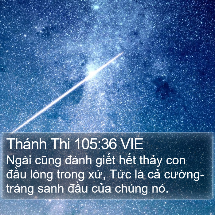 Thánh Thi 105:36 VIE Bible Study