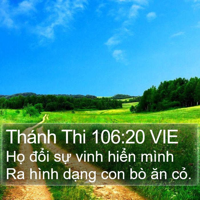 Thánh Thi 106:20 VIE Bible Study