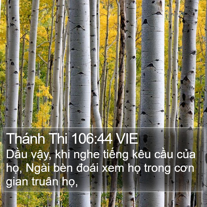 Thánh Thi 106:44 VIE Bible Study