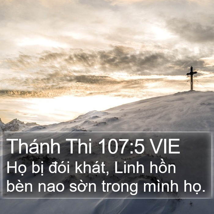 Thánh Thi 107:5 VIE Bible Study