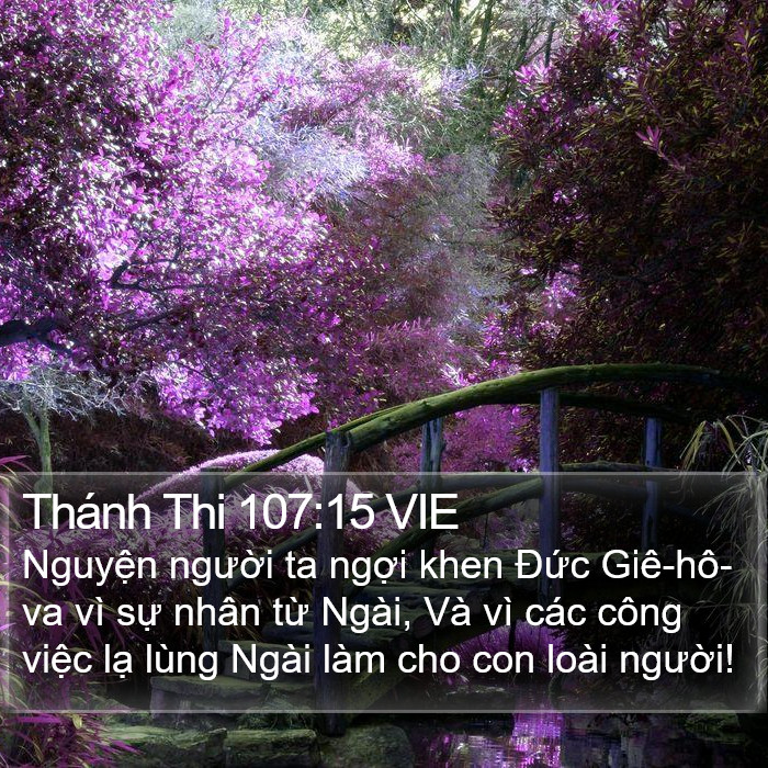 Thánh Thi 107:15 VIE Bible Study