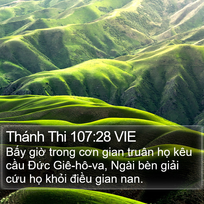 Thánh Thi 107:28 VIE Bible Study