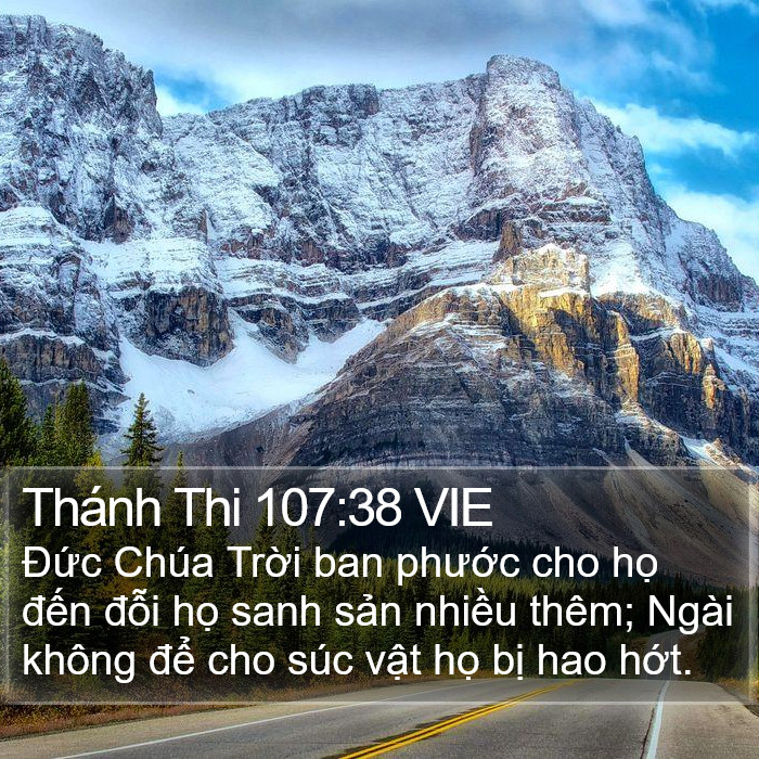 Thánh Thi 107:38 VIE Bible Study