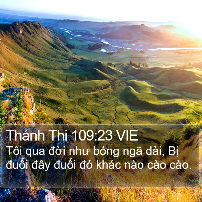 Thánh Thi 109:23 VIE Bible Study