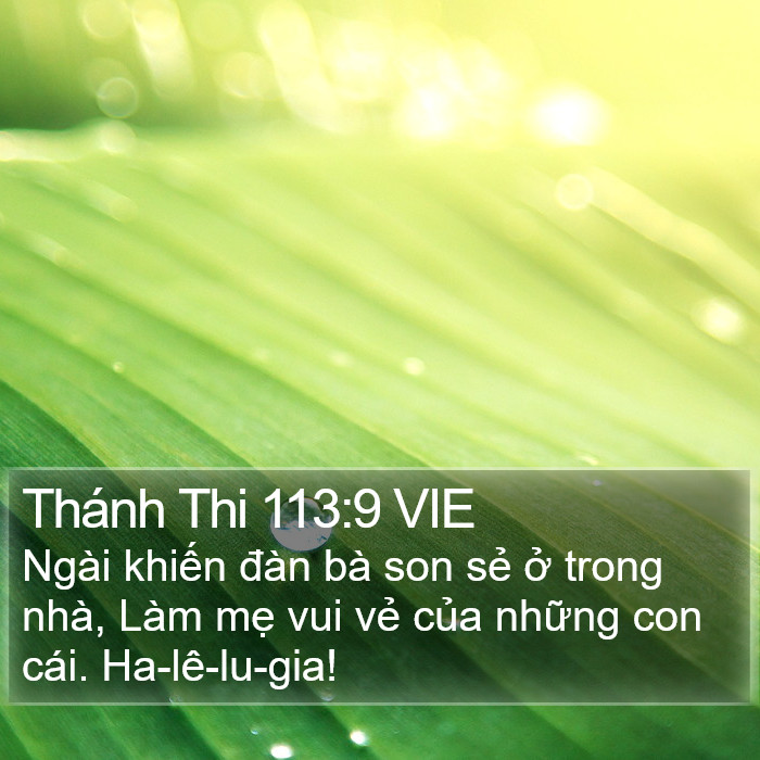 Thánh Thi 113:9 VIE Bible Study