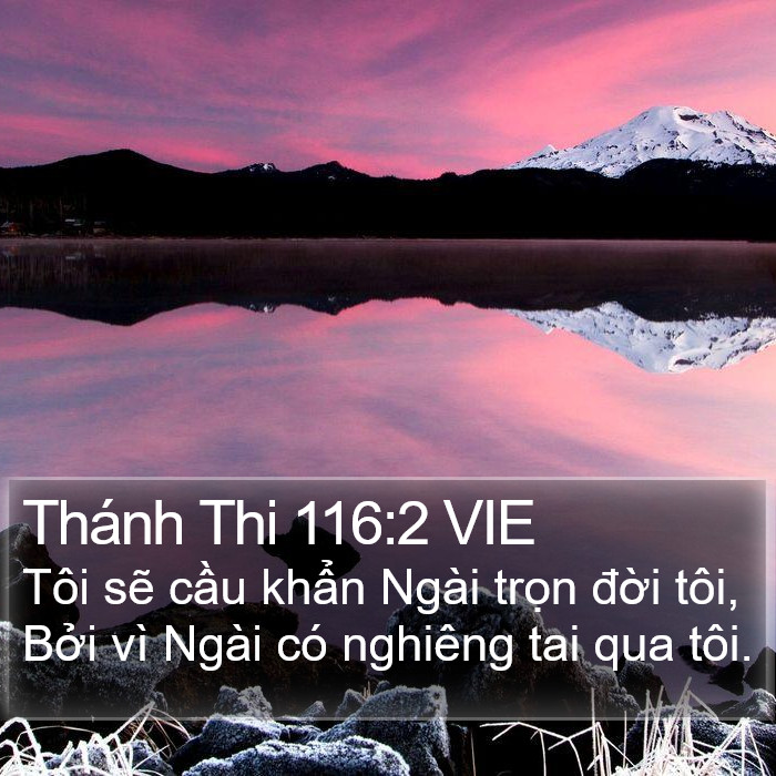 Thánh Thi 116:2 VIE Bible Study