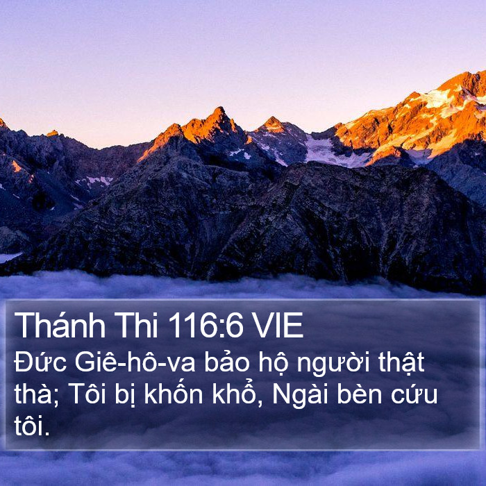 Thánh Thi 116:6 VIE Bible Study