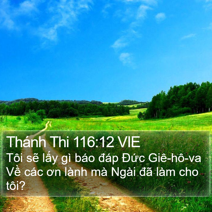 Thánh Thi 116:12 VIE Bible Study