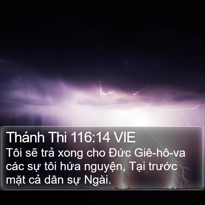 Thánh Thi 116:14 VIE Bible Study