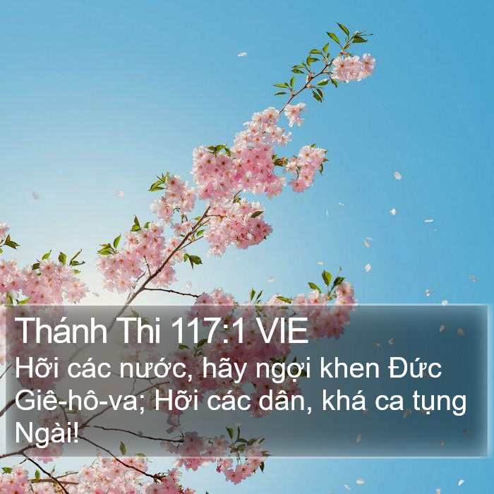 Thánh Thi 117:1 VIE Bible Study