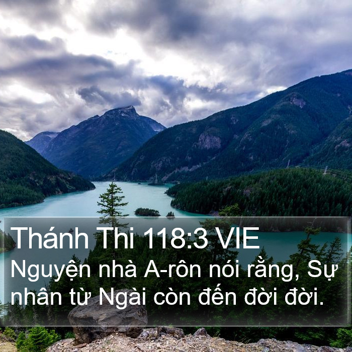 Thánh Thi 118:3 VIE Bible Study