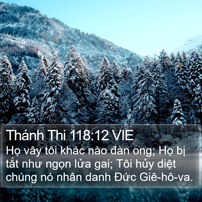 Thánh Thi 118:12 VIE Bible Study