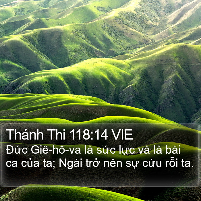 Thánh Thi 118:14 VIE Bible Study