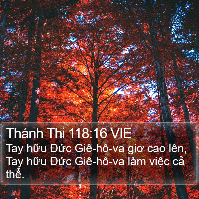 Thánh Thi 118:16 VIE Bible Study