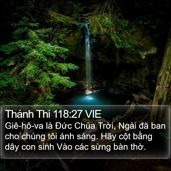 Thánh Thi 118:27 VIE Bible Study