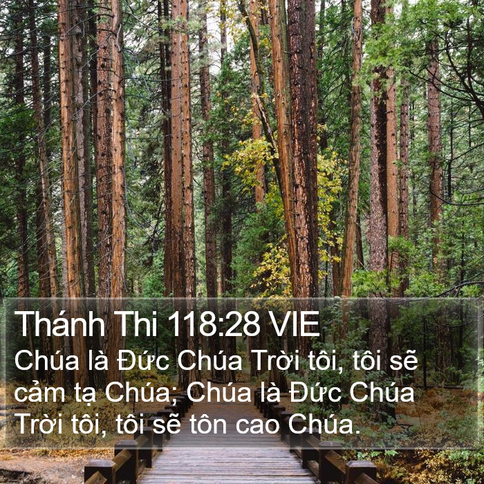 Thánh Thi 118:28 VIE Bible Study