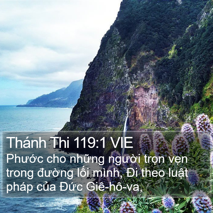 Thánh Thi 119:1 VIE Bible Study