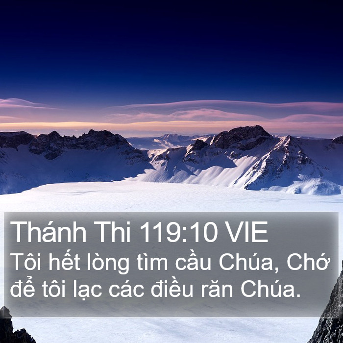 Thánh Thi 119:10 VIE Bible Study