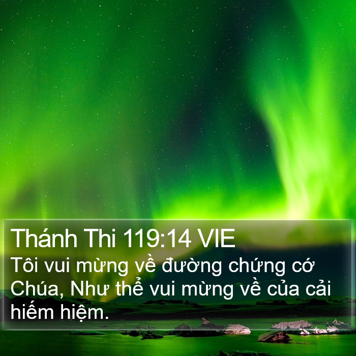 Thánh Thi 119:14 VIE Bible Study