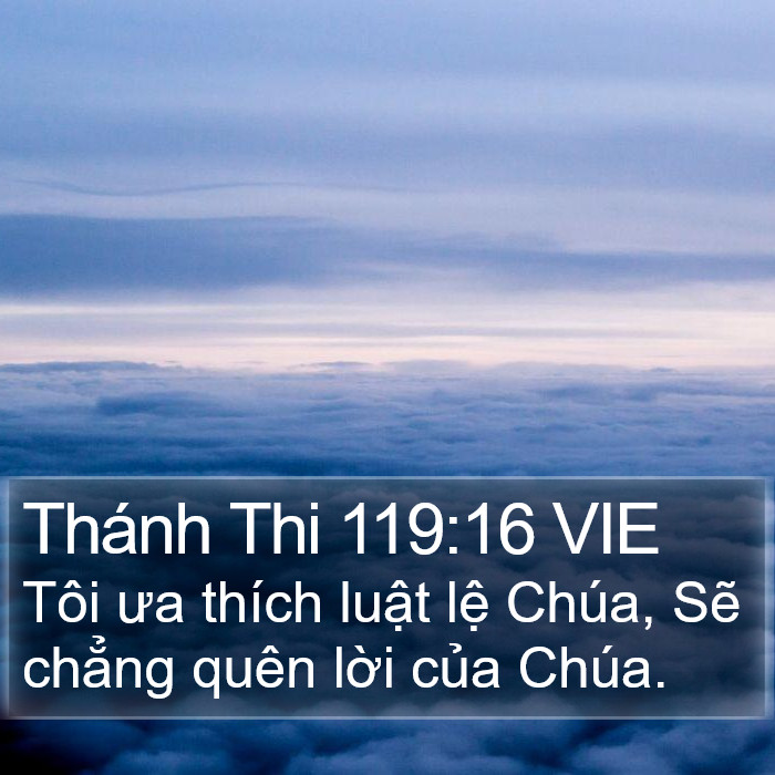 Thánh Thi 119:16 VIE Bible Study