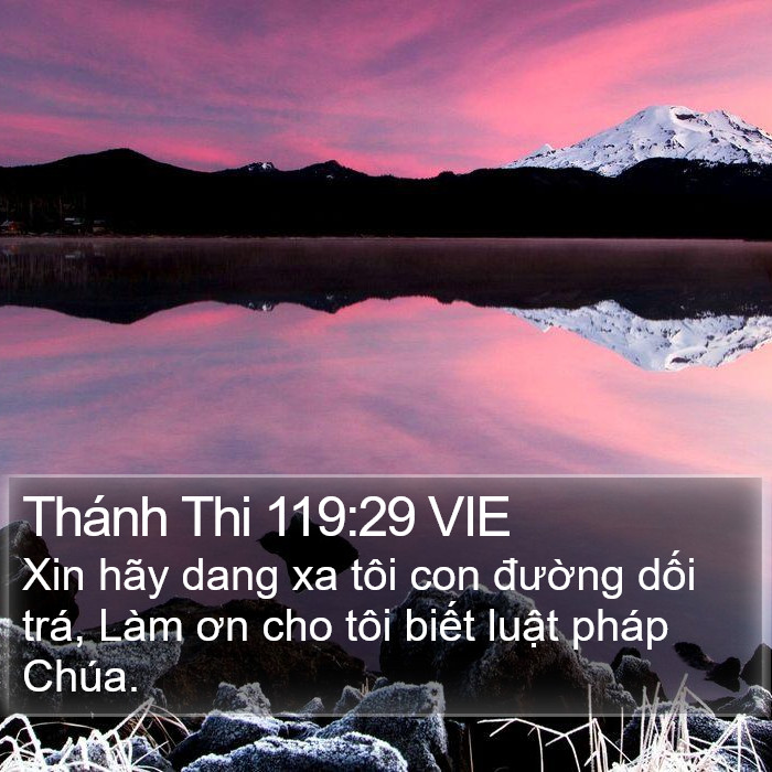 Thánh Thi 119:29 VIE Bible Study