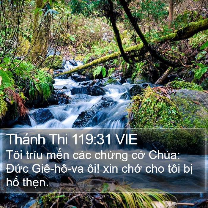 Thánh Thi 119:31 VIE Bible Study
