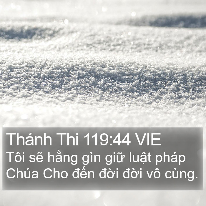 Thánh Thi 119:44 VIE Bible Study
