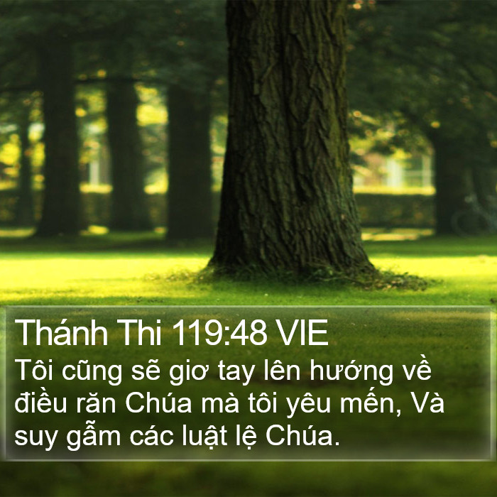 Thánh Thi 119:48 VIE Bible Study
