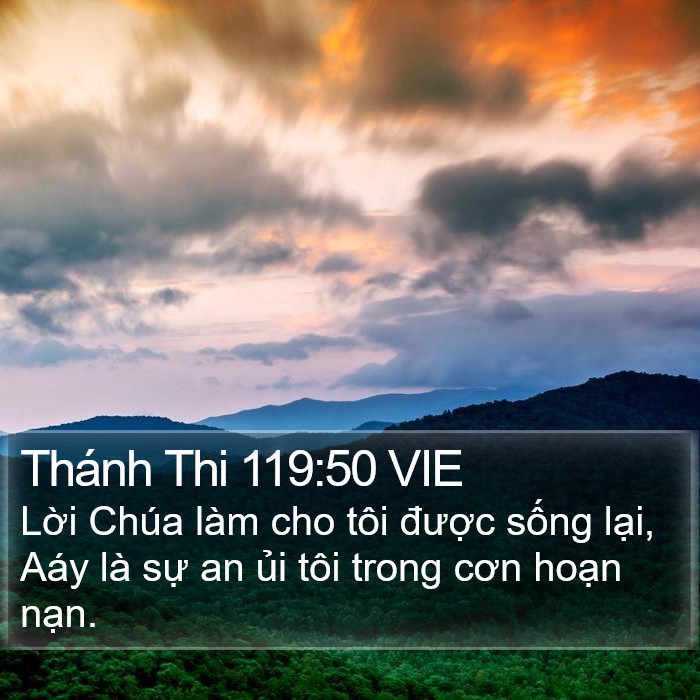 Thánh Thi 119:50 VIE Bible Study